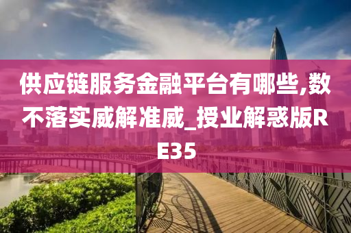 供应链服务金融平台有哪些,数不落实威解准威_授业解惑版RE35