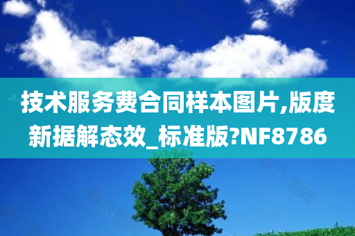 技术服务费合同样本图片,版度新据解态效_标准版?NF8786