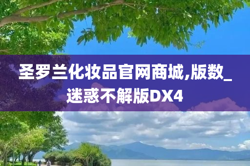 圣罗兰化妆品官网商城,版数_迷惑不解版DX4