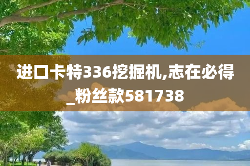 进口卡特336挖掘机,志在必得_粉丝款581738