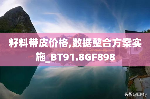 籽料带皮价格,数据整合方案实施_BT91.8GF898