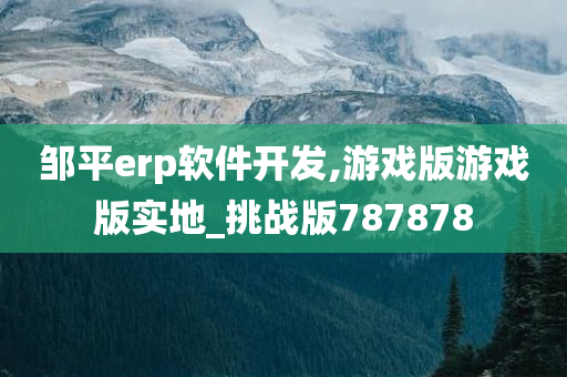 邹平erp软件开发,游戏版游戏版实地_挑战版787878