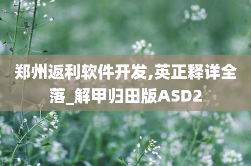 郑州返利软件开发,英正释详全落_解甲归田版ASD2