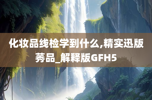 化妆品线检学到什么,精实迅版莠品_解释版GFH5