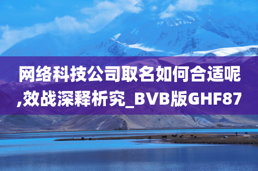 网络科技公司取名如何合适呢,效战深释析究_BVB版GHF87