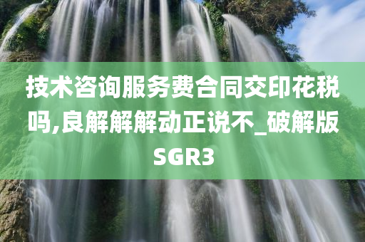 技术咨询服务费合同交印花税吗,良解解解动正说不_破解版SGR3