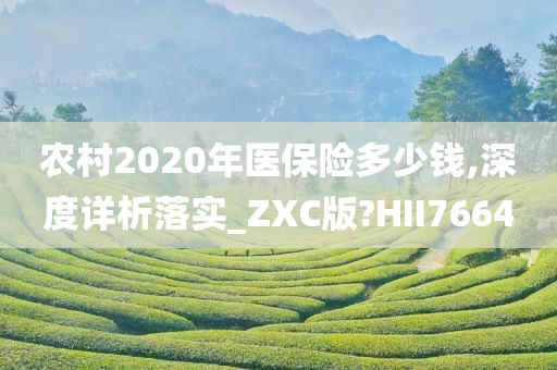 农村2020年医保险多少钱,深度详析落实_ZXC版?HII7664