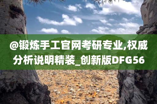 @锻炼手工官网考研专业,权威分析说明精装_创新版DFG56