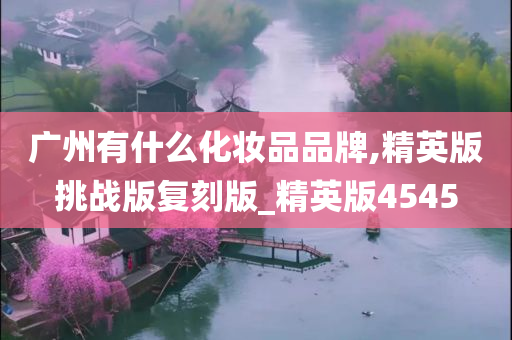 广州有什么化妆品品牌,精英版挑战版复刻版_精英版4545