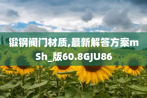 锻钢阀门材质,最新解答方案mSh_版60.8GJU86