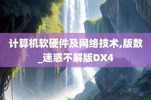 计算机软硬件及网络技术,版数_迷惑不解版DX4