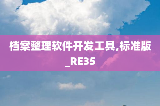 档案整理软件开发工具,标准版_RE35