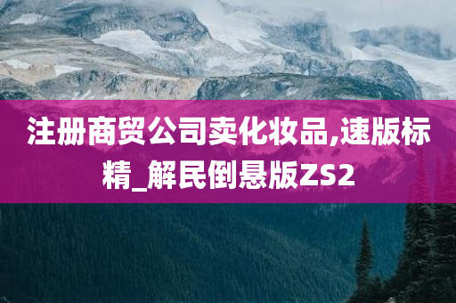 注册商贸公司卖化妆品,速版标精_解民倒悬版ZS2