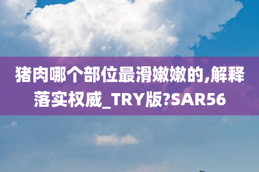 猪肉哪个部位最滑嫩嫩的,解释落实权威_TRY版?SAR56