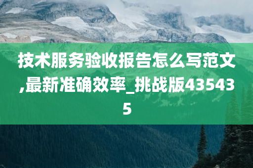 技术服务验收报告怎么写范文,最新准确效率_挑战版435435