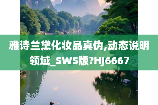 雅诗兰黛化妆品真伪,动态说明领域_SWS版?HJ6667