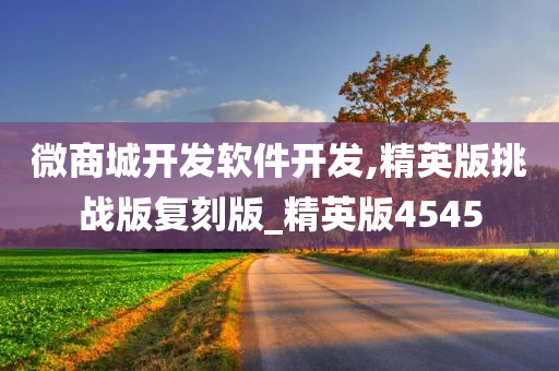 微商城开发软件开发,精英版挑战版复刻版_精英版4545