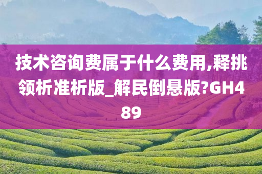 技术咨询费属于什么费用,释挑领析准析版_解民倒悬版?GH489