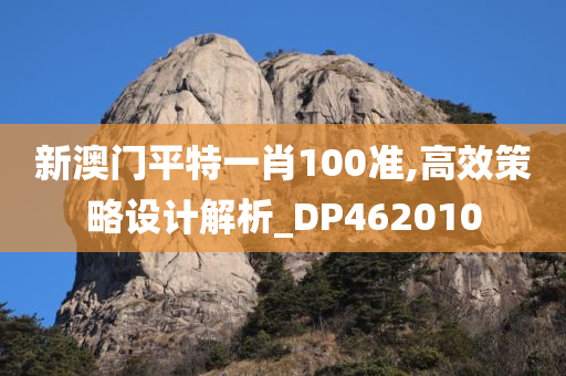 新澳门平特一肖100准,高效策略设计解析_DP462010