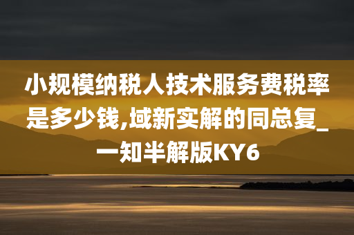 小规模纳税人技术服务费税率是多少钱,域新实解的同总复_一知半解版KY6