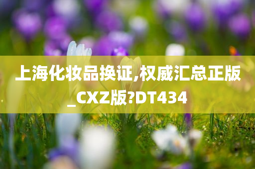 上海化妆品换证,权威汇总正版_CXZ版?DT434