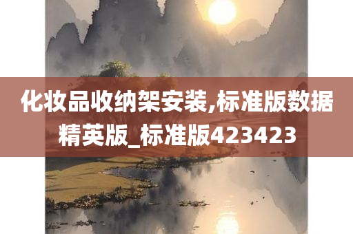 化妆品收纳架安装,标准版数据精英版_标准版423423