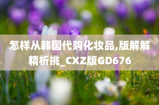 怎样从韩国代购化妆品,版解解精析挑_CXZ版GD676