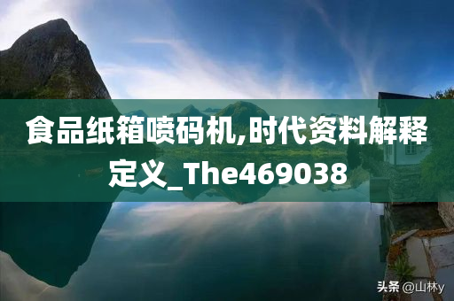 食品纸箱喷码机,时代资料解释定义_The469038