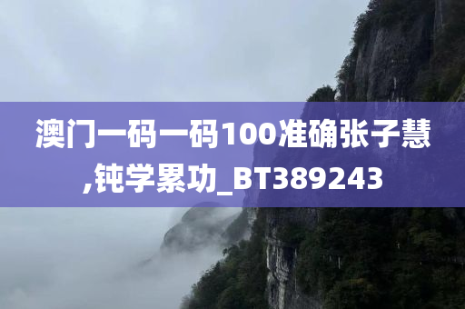 澳门一码一码100准确张子慧,钝学累功_BT389243