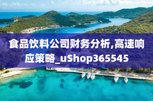 食品饮料公司财务分析,高速响应策略_uShop365545