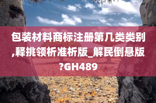 包装材料商标注册第几类类别,释挑领析准析版_解民倒悬版?GH489