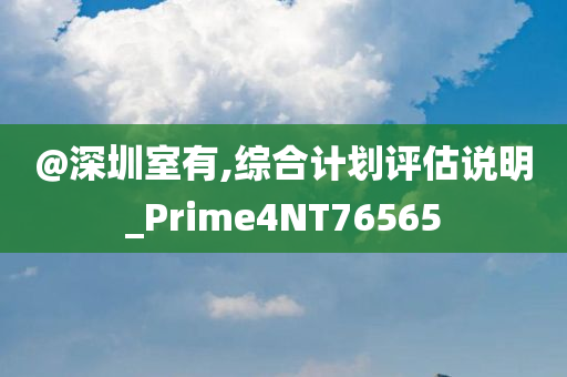 @深圳室有,综合计划评估说明_Prime4NT76565