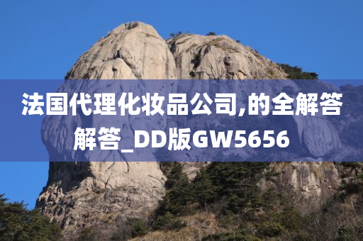 法国代理化妆品公司,的全解答解答_DD版GW5656