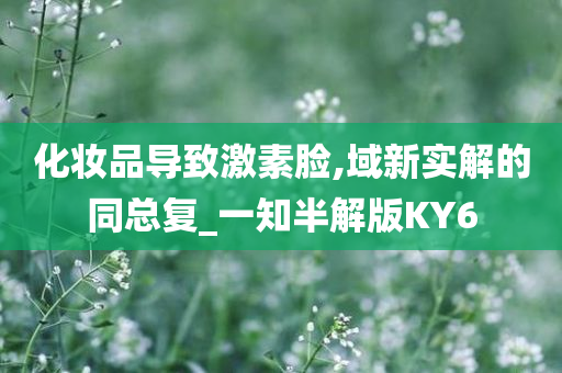 化妆品导致激素脸,域新实解的同总复_一知半解版KY6