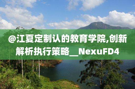 @江夏定制认的教育学院,创新解析执行策略__NexuFD4