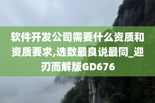 软件开发公司需要什么资质和资质要求,选数最良说最同_迎刃而解版GD676