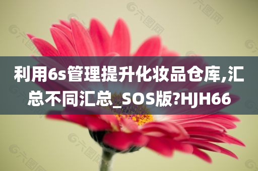 利用6s管理提升化妆品仓库,汇总不同汇总_SOS版?HJH66