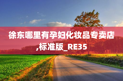 徐东哪里有孕妇化妆品专卖店,标准版_RE35