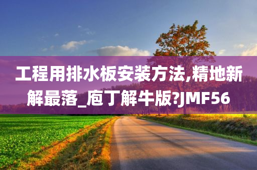 工程用排水板安装方法,精地新解最落_庖丁解牛版?JMF56