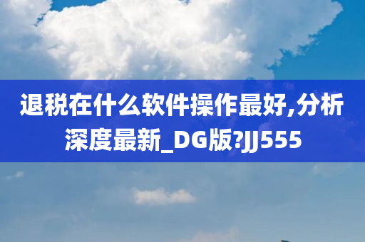 退税在什么软件操作最好,分析深度最新_DG版?JJ555