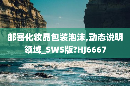 邮寄化妆品包装泡沫,动态说明领域_SWS版?HJ6667