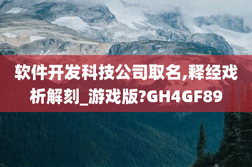 软件开发科技公司取名,释经戏析解刻_游戏版?GH4GF89