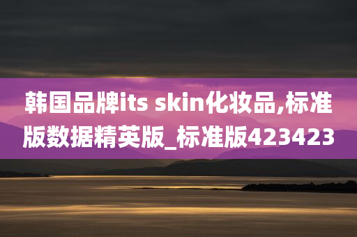 韩国品牌its skin化妆品,标准版数据精英版_标准版423423