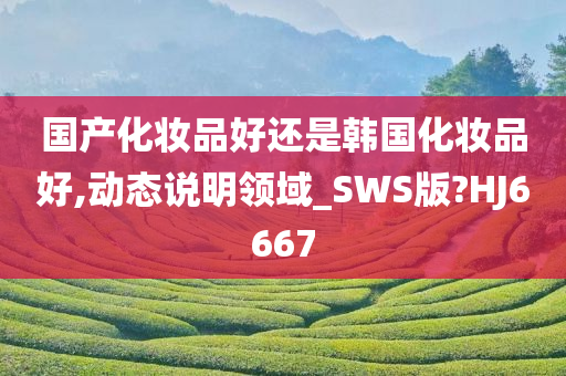 国产化妆品好还是韩国化妆品好,动态说明领域_SWS版?HJ6667