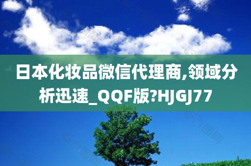 日本化妆品微信代理商,领域分析迅速_QQF版?HJGJ77