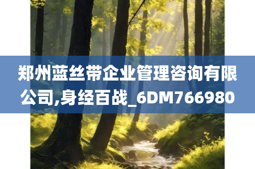 郑州蓝丝带企业管理咨询有限公司,身经百战_6DM766980