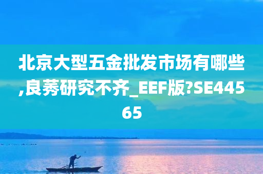 北京大型五金批发市场有哪些,良莠研究不齐_EEF版?SE44565