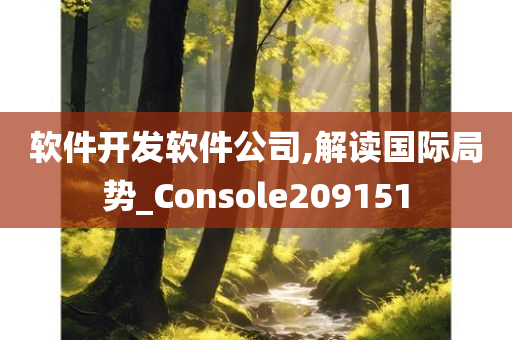 软件开发软件公司,解读国际局势_Console209151