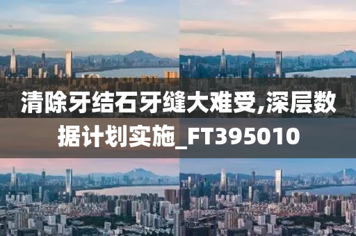 清除牙结石牙缝大难受,深层数据计划实施_FT395010