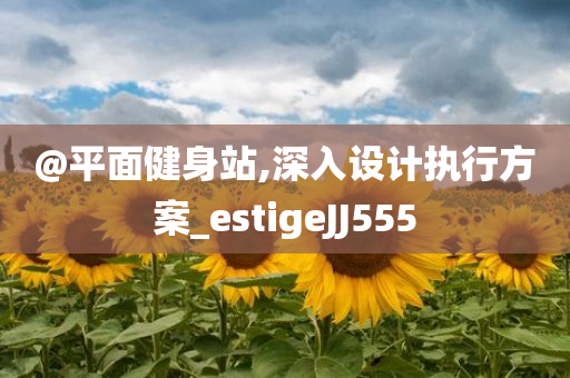 @平面健身站,深入设计执行方案_estigeJJ555